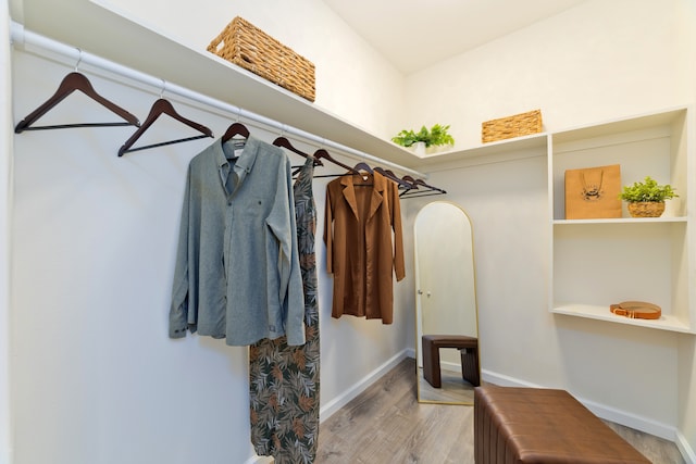 spacious closet with light wood-type flooring