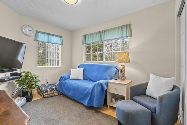 sitting room with carpet floors