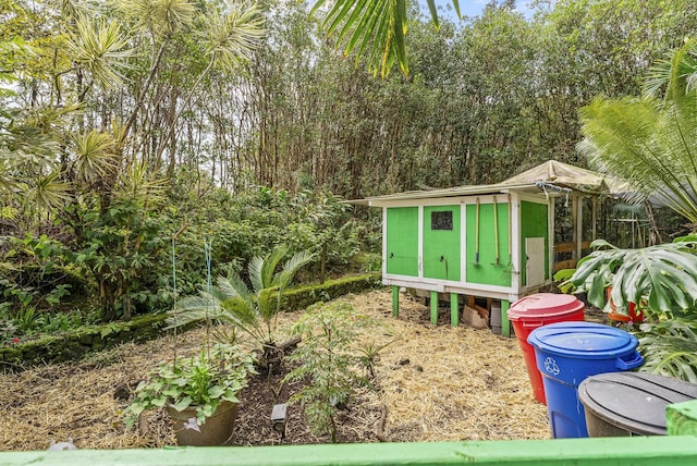 view of yard with a shed