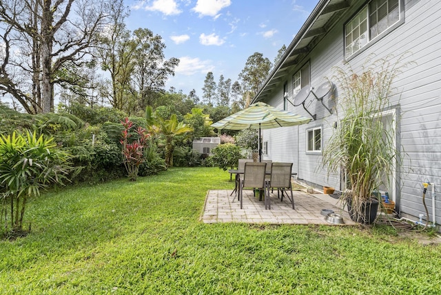 view of yard featuring a patio