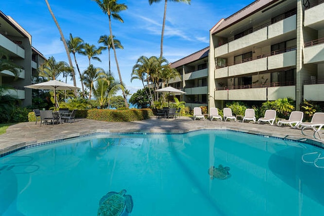 view of swimming pool featuring a patio area