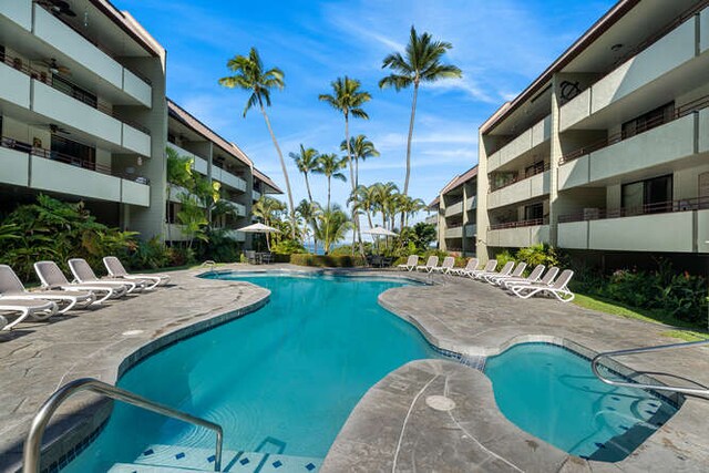 view of pool featuring a patio area