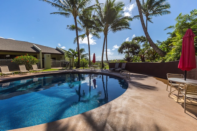 view of swimming pool with a patio area