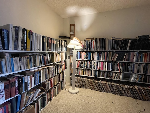 interior space featuring carpet and a textured ceiling