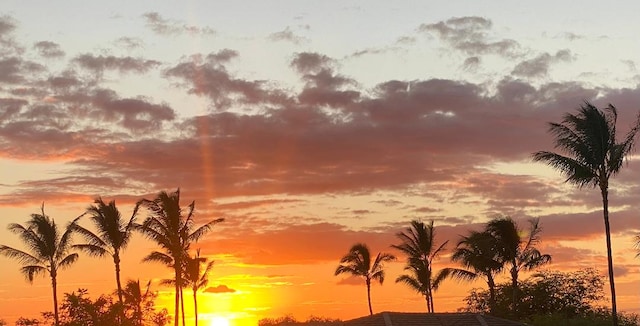 view of nature at dusk