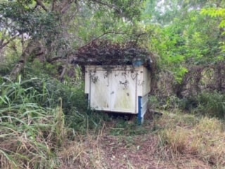 view of outdoor structure