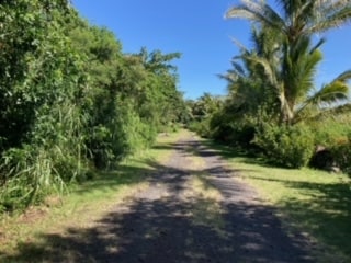 view of street