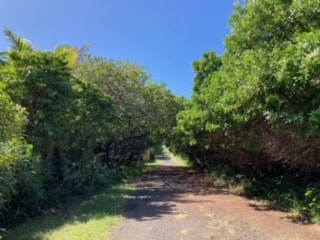 view of road