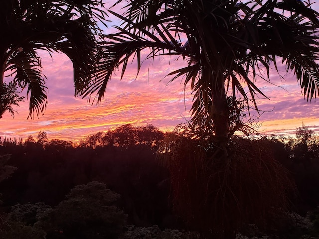 view of nature at dusk