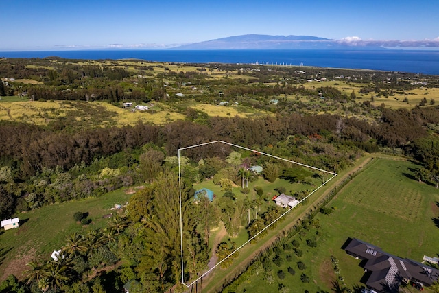 bird's eye view featuring a water and mountain view