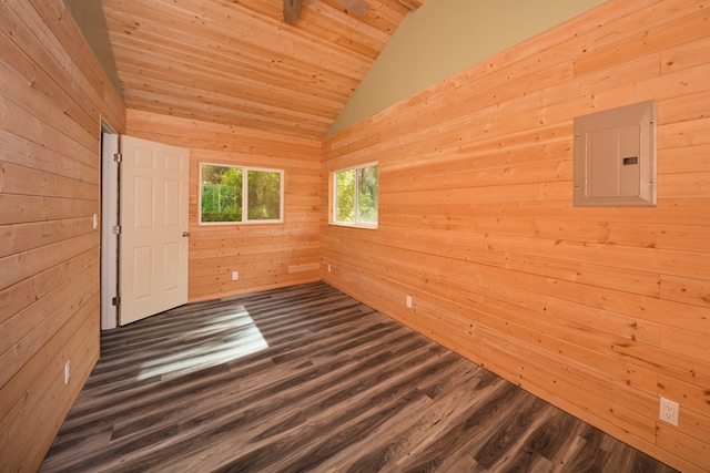 unfurnished room with electric panel, wood walls, dark hardwood / wood-style flooring, and vaulted ceiling