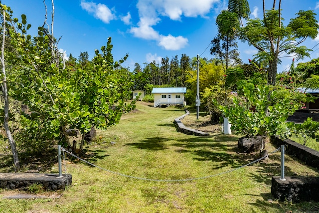 view of yard