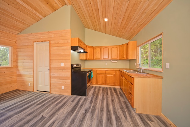 kitchen with wood ceiling, sink, electric range, high vaulted ceiling, and dark hardwood / wood-style floors