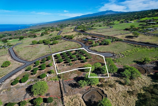 81-6499 Mamaka Pl, Kealakekua HI, 96750 land for sale