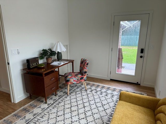 office area featuring wood-type flooring