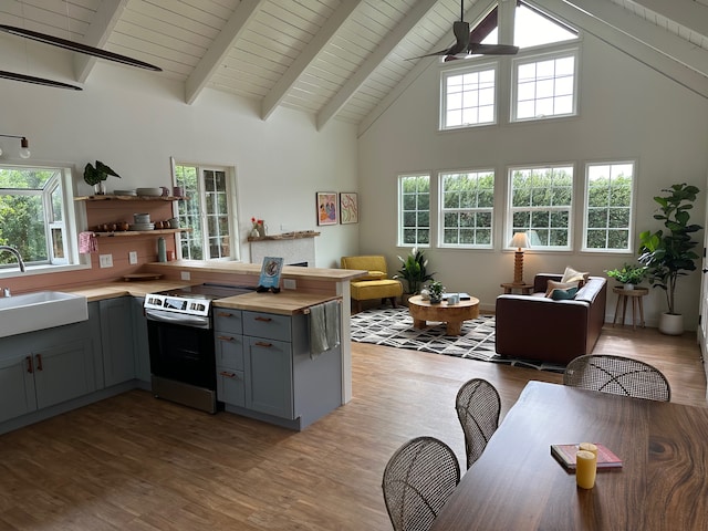 kitchen with stainless steel electric stove, sink, hardwood / wood-style flooring, gray cabinets, and plenty of natural light