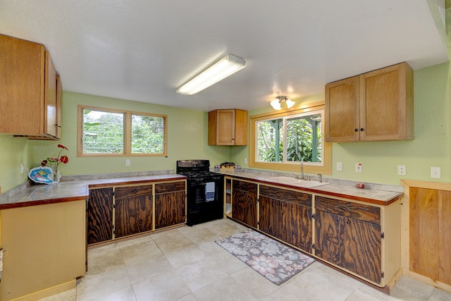 kitchen with sink and black range oven