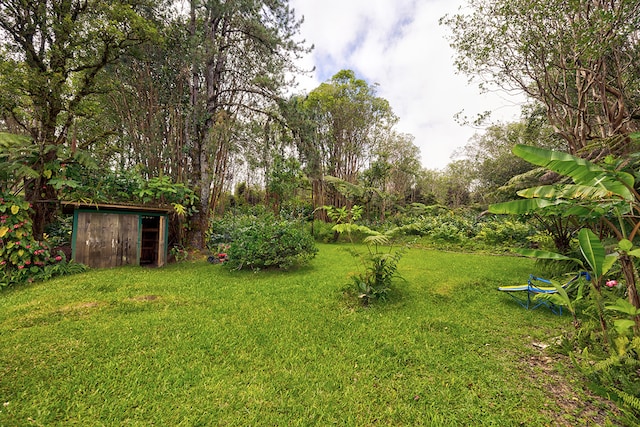 view of yard featuring a shed