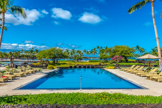 view of swimming pool with a patio