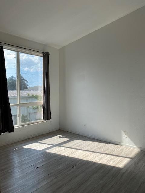 spare room with wood finished floors