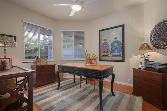 office featuring ceiling fan and hardwood / wood-style flooring