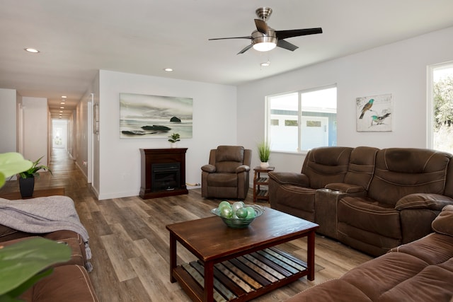 living room with hardwood / wood-style floors, a wealth of natural light, and ceiling fan