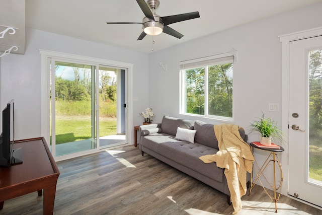 living room with hardwood / wood-style flooring, ceiling fan, and a wealth of natural light