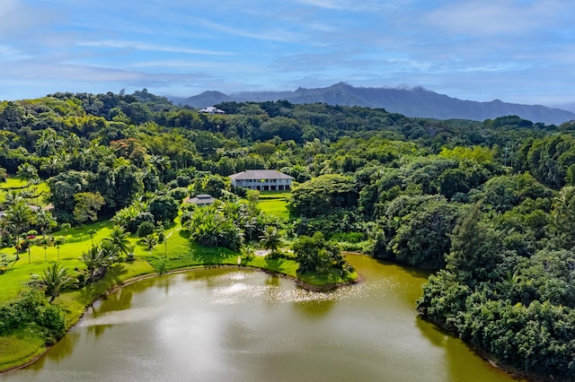 4633 Waiakalua St, Kilauea, HI 96754 - birds eye view of property featuring a water and mountain view