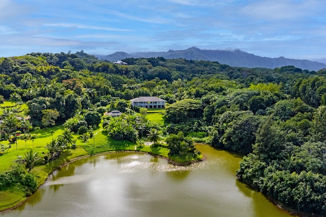 birds eye view of property featuring a water and mountain view