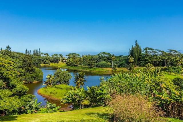 property view of water