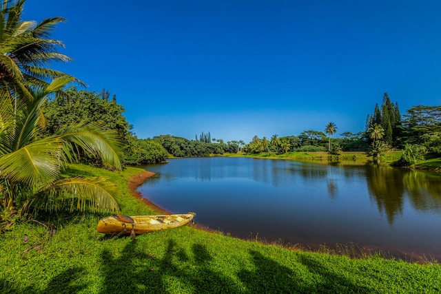 view of water feature