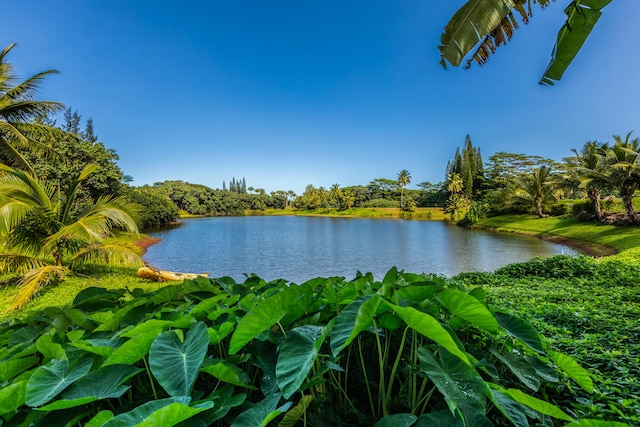 view of water feature