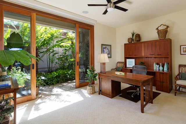 carpeted home office with ceiling fan