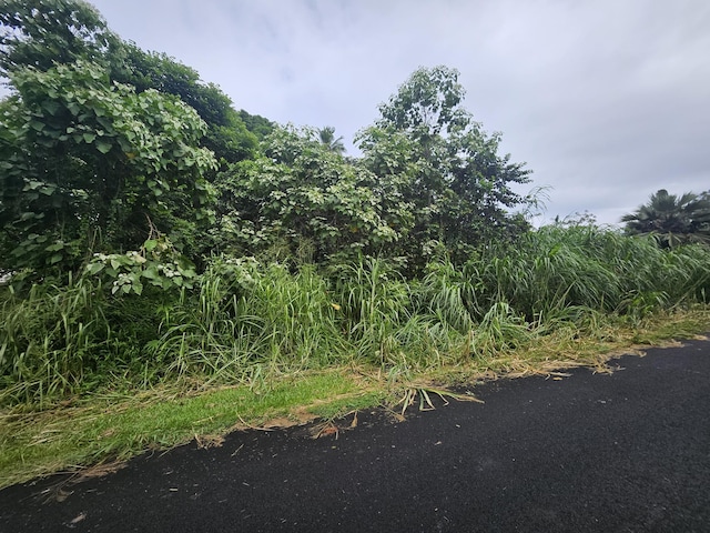 Listing photo 2 for Oopu St, Pahoa HI 96778