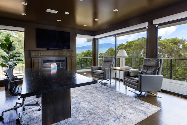 interior space featuring plenty of natural light and hardwood / wood-style floors