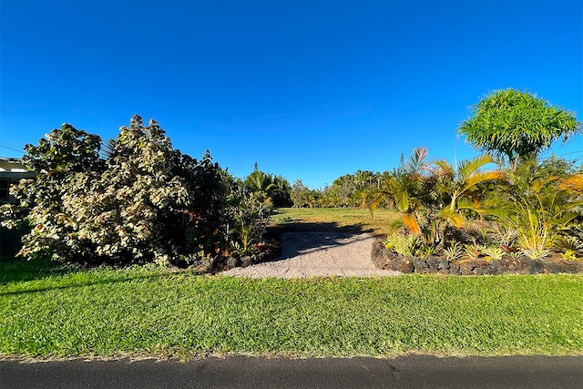 Listing photo 2 for 12-7029 Lawaianui St, Pahoa HI 96778