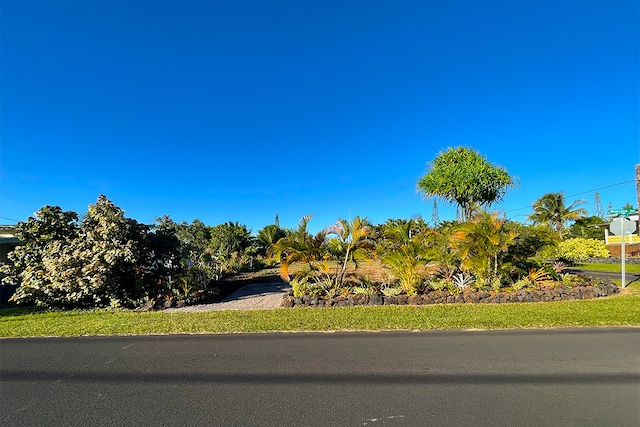 Listing photo 3 for 12-7029 Lawaianui St, Pahoa HI 96778