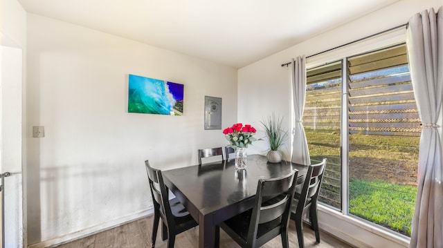 dining room featuring hardwood / wood-style floors