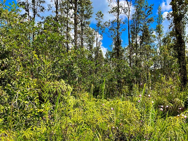 Listing photo 2 for Bamboo Dr, Pahoa HI 96778