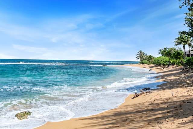 water view with a view of the beach