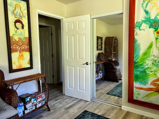 hall featuring light hardwood / wood-style flooring