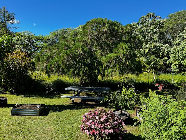 view of home's community with a lawn