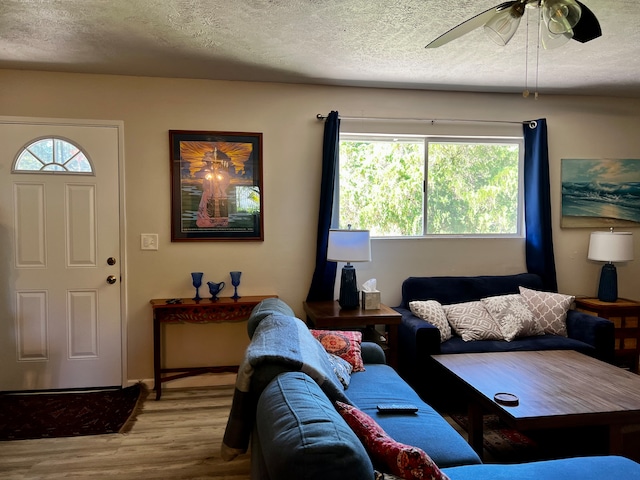 living room featuring hardwood / wood-style floors, plenty of natural light, and a textured ceiling