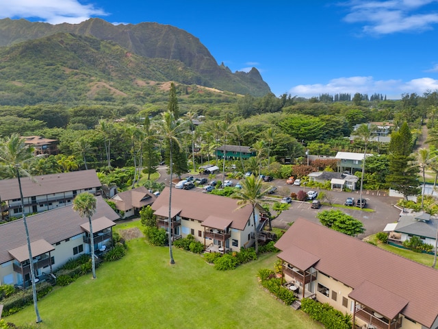 birds eye view of property featuring a mountain view