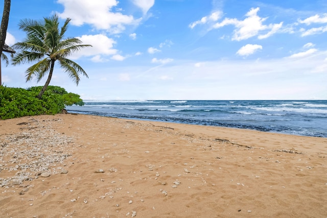 water view with a view of the beach