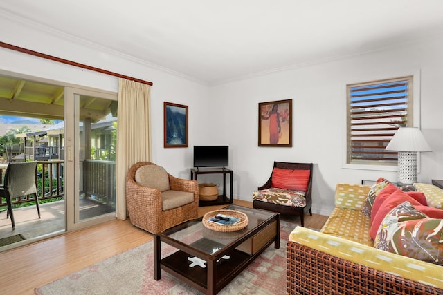 living room with wood-type flooring and ornamental molding