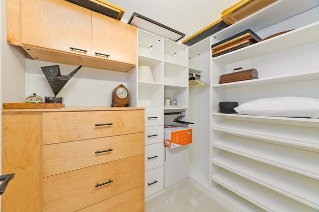 walk in closet with light colored carpet