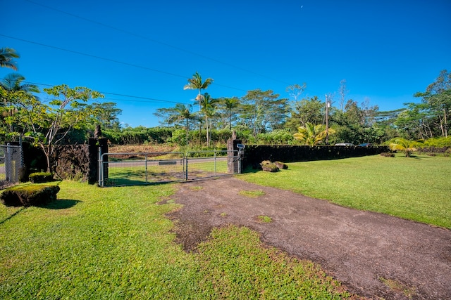 view of yard