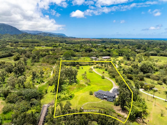 birds eye view of property with a mountain view