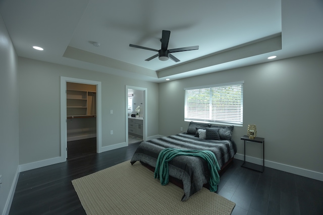 bedroom with a walk in closet, a tray ceiling, ceiling fan, dark hardwood / wood-style floors, and a closet